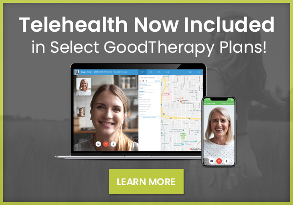 Telehealth solution for therapists